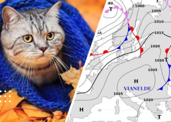 Погода у листопаді: синоптики розповіли, коли похолодає