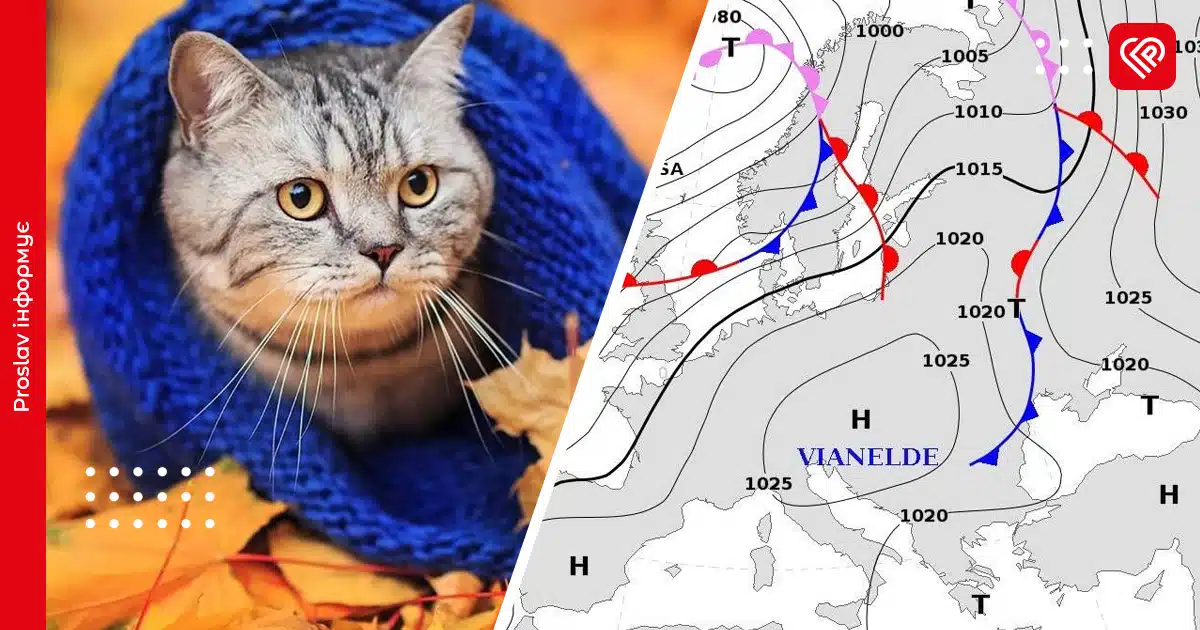 Погода у листопаді: синоптики розповіли, коли похолодає