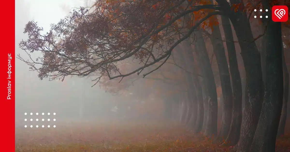 Під ранок Київщину встелить туманом: прогноз погоди на 13 листопада