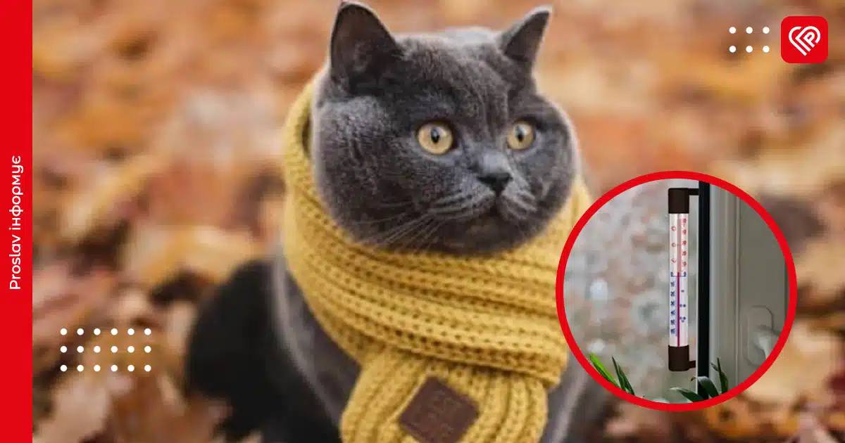 Вночі на Київщині температура опуститься до 0 градусів: у гідрометцентрі зробили прогноз погоди на 14 листопада