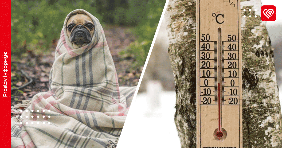 Вночі на Київщині очікується до 5 градусів морозу: прогноз погоди на 19 листопада