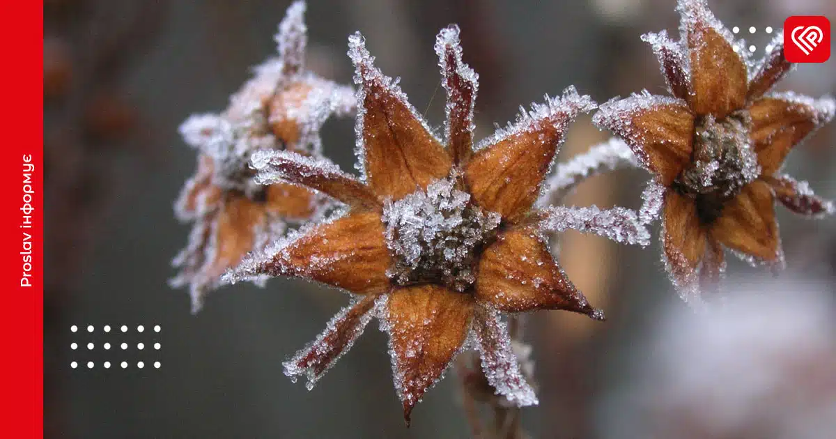 Прогноз погоди на 20 листопада: вночі на Київщині знову вдарить мороз