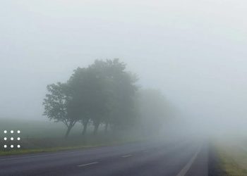 На Київщині очікується дощ і туман: прогноз погоди на 21 листопада