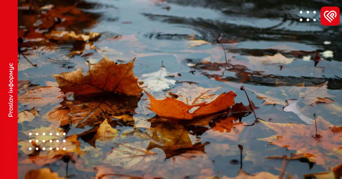 Прогноз погоди: 22 листопада Київщину заллє дощем