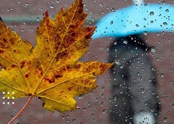 Яку погоду очікувати жителям Київщини 23 листопада: синоптики зробили прогноз