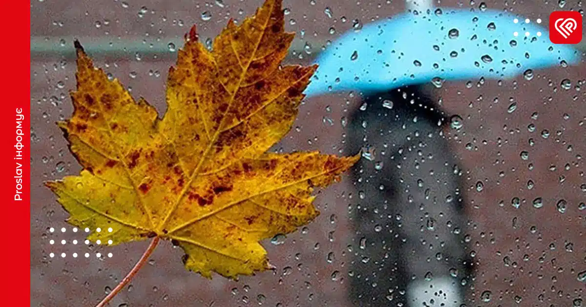 Яку погоду очікувати жителям Київщини 23 листопада: синоптики зробили прогноз