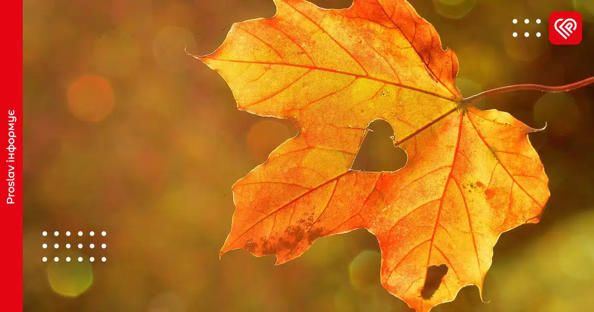 Прогноз погоди: синоптики попередили про невеликий дощ 10 листопада на Київщині