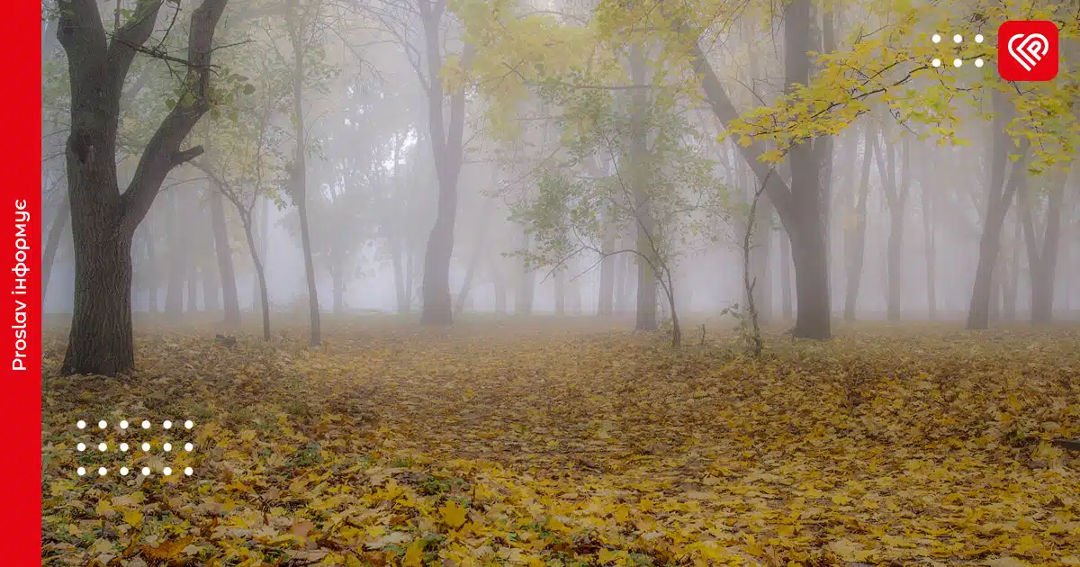 Прогноз погоди: Київську область 2 листопада вкриє туманом