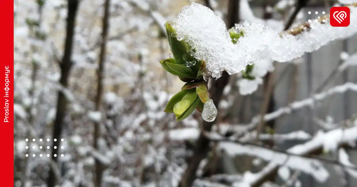 Вночі по Київщині очікується дощ з мокрим снігом: прогноз погоди на 24 листопада