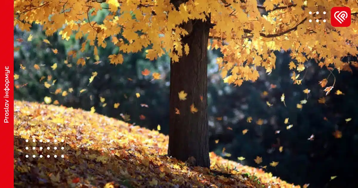 Синоптики розповіли, яким буде 6 листопада на Київщині: прогноз погоди