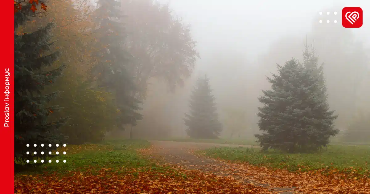 Прогноз погоди: синоптики розповіли, що Київщину 7 листопада вкриє туманом