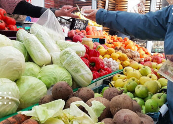 В Україні стрімко дорожчають продукти: аналітики попереджають про рекордні ціни на овочі та яйця