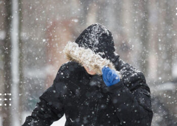 Чи вкриє Україну снігом: синоптики зробили прогноз на зиму 2025-2026