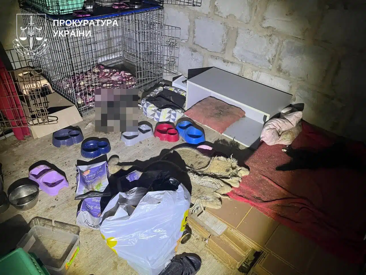 жорстоке поводження з тваринами на київщині