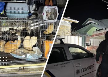 жорстоке поводження з тваринами на київщині