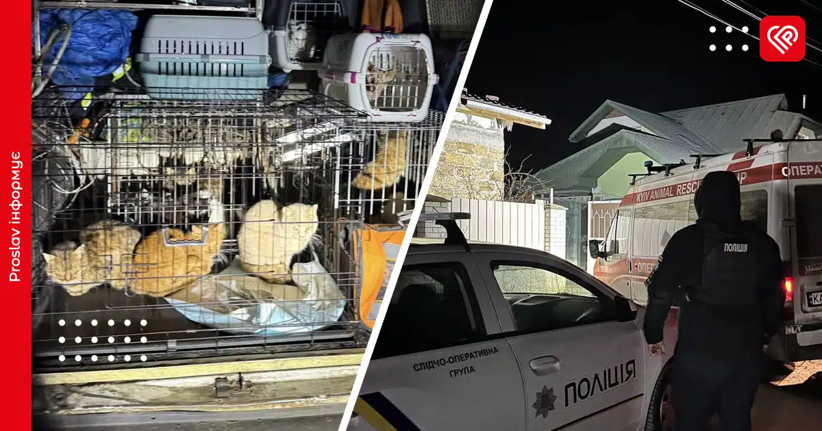 жорстоке поводження з тваринами на київщині