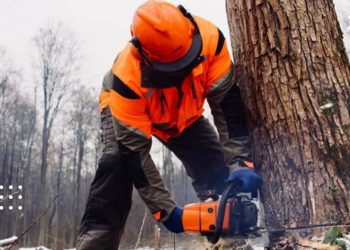 робота вальник лісу