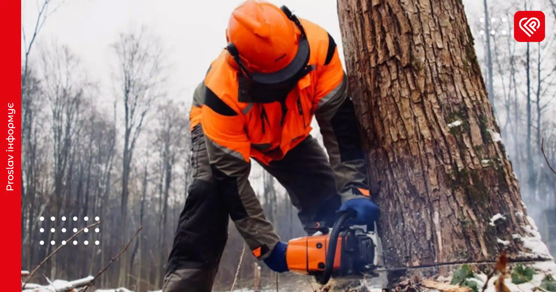 робота вальник лісу