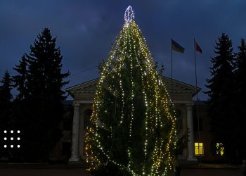 переяслав ялинка