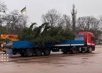 ялинка переяслав