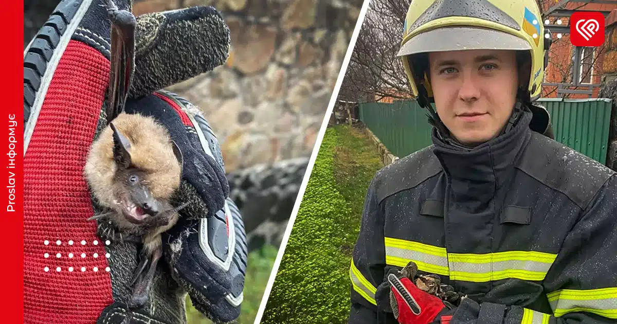 переяслав кажан