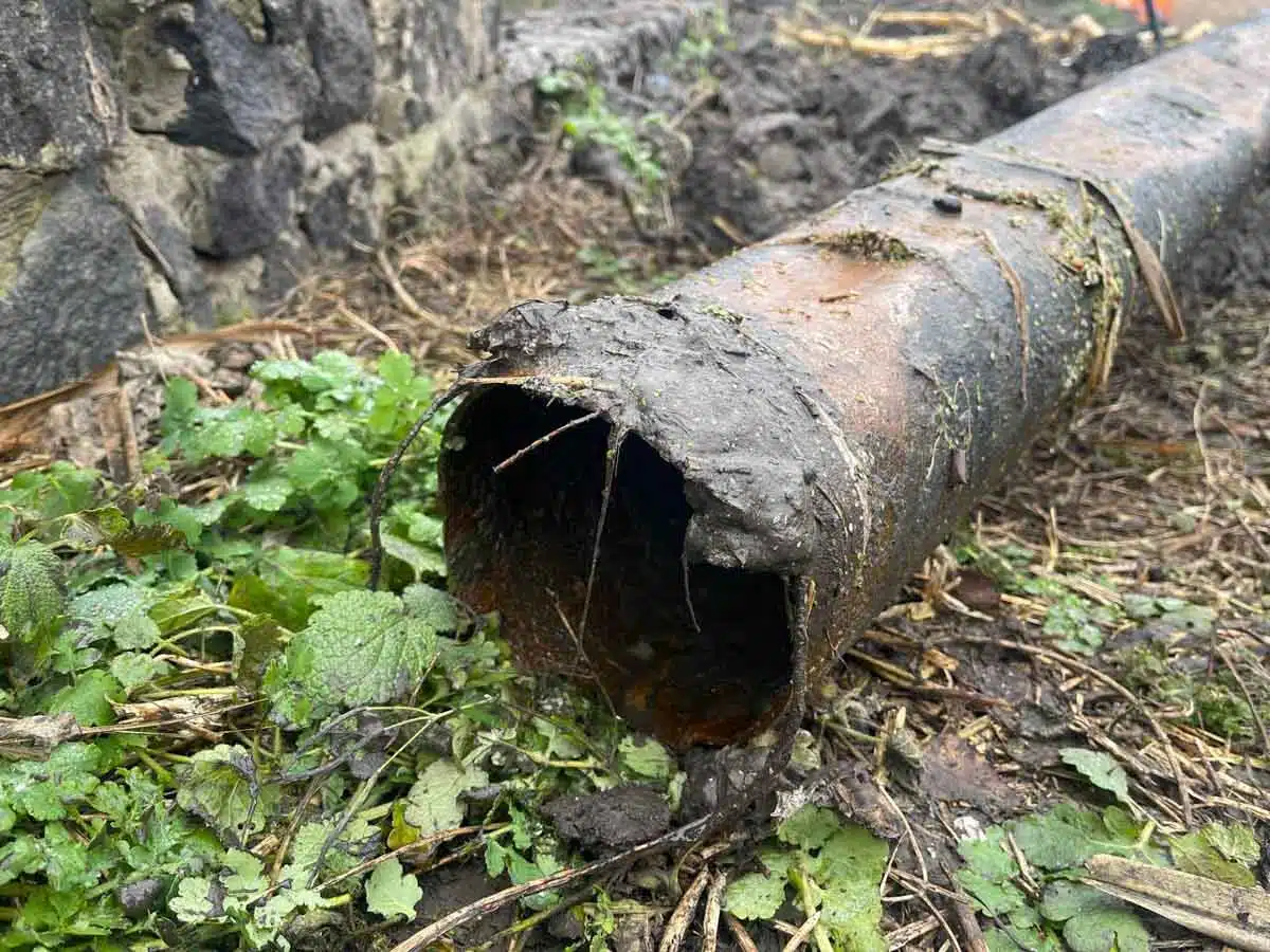 переяслав альта труба