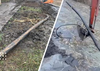 переяслав альта