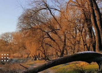 прогноз погоди