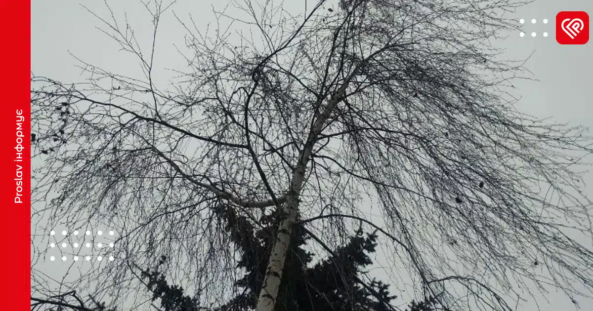 погода прогноз