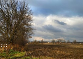 прогноз погоди