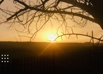 погода прогноз мороз