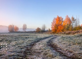 прогноз погоди мороз