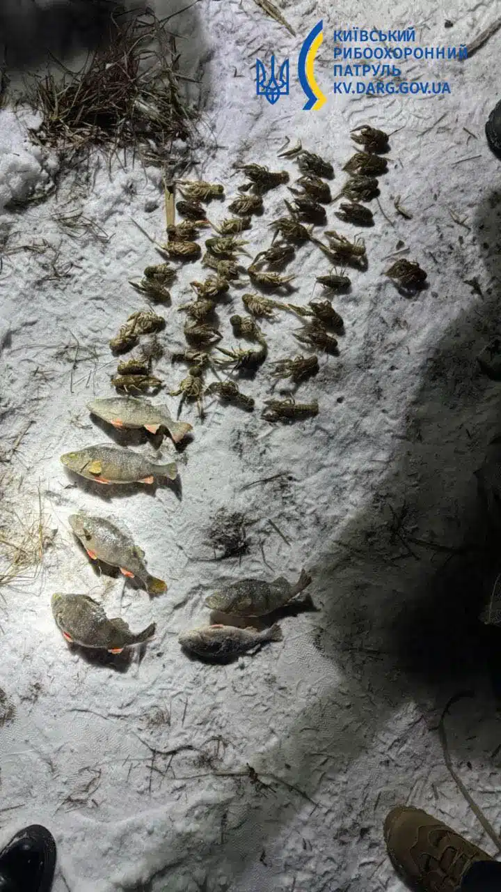 Вилов раків у Переяславі