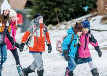 очне навчання