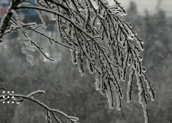 ожеледь ожеледиця прогноз