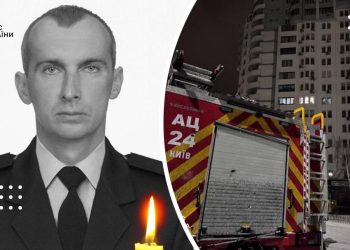 зібров дснс