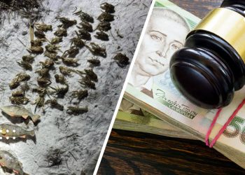 Вилов раків у Переяславі