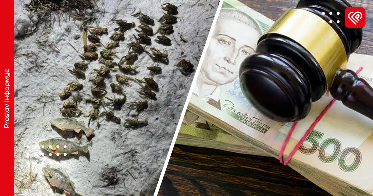 Вилов раків у Переяславі