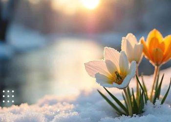 прогноз погоди погода весна потепління