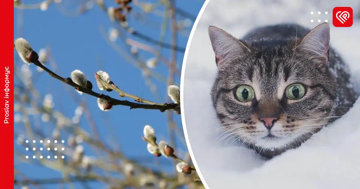 погода березень 2026