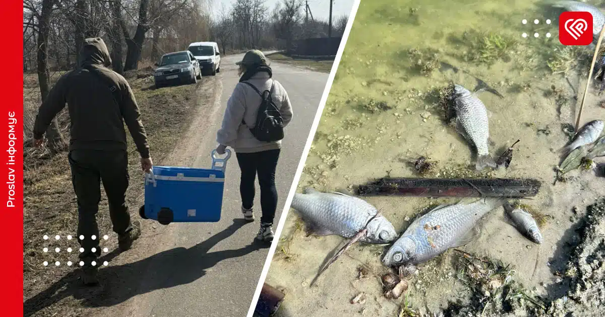 загибель риби Альта