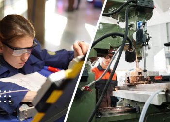 мережа коледжів і профтехів