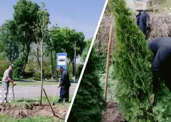 озеленення переяслав