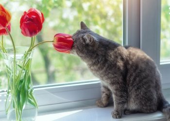 погода весна