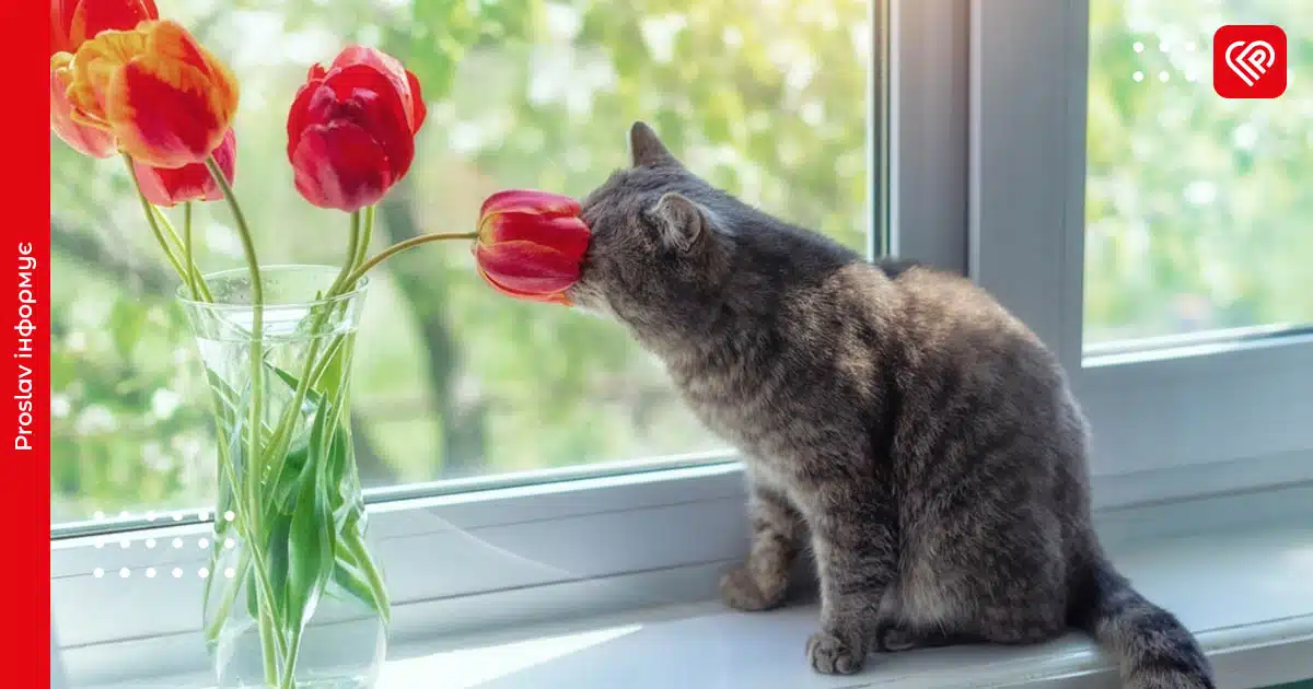 погода весна