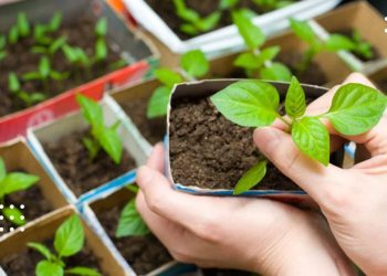 посівний календар березень