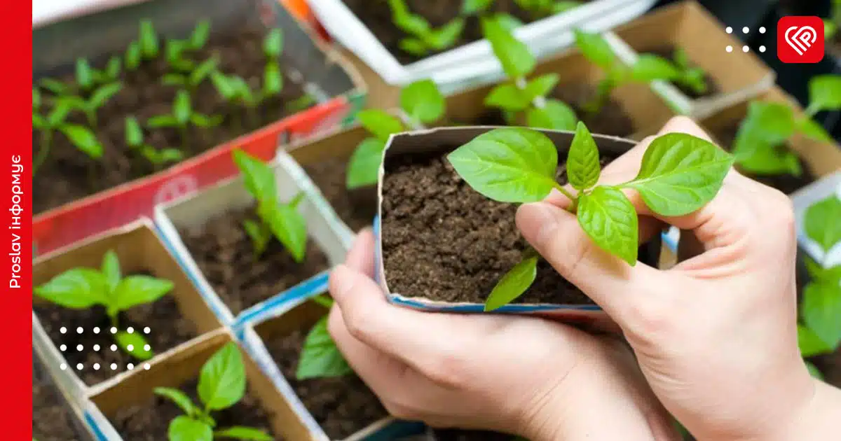 посівний календар березень