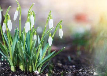 потепління прогноз погода в Україні