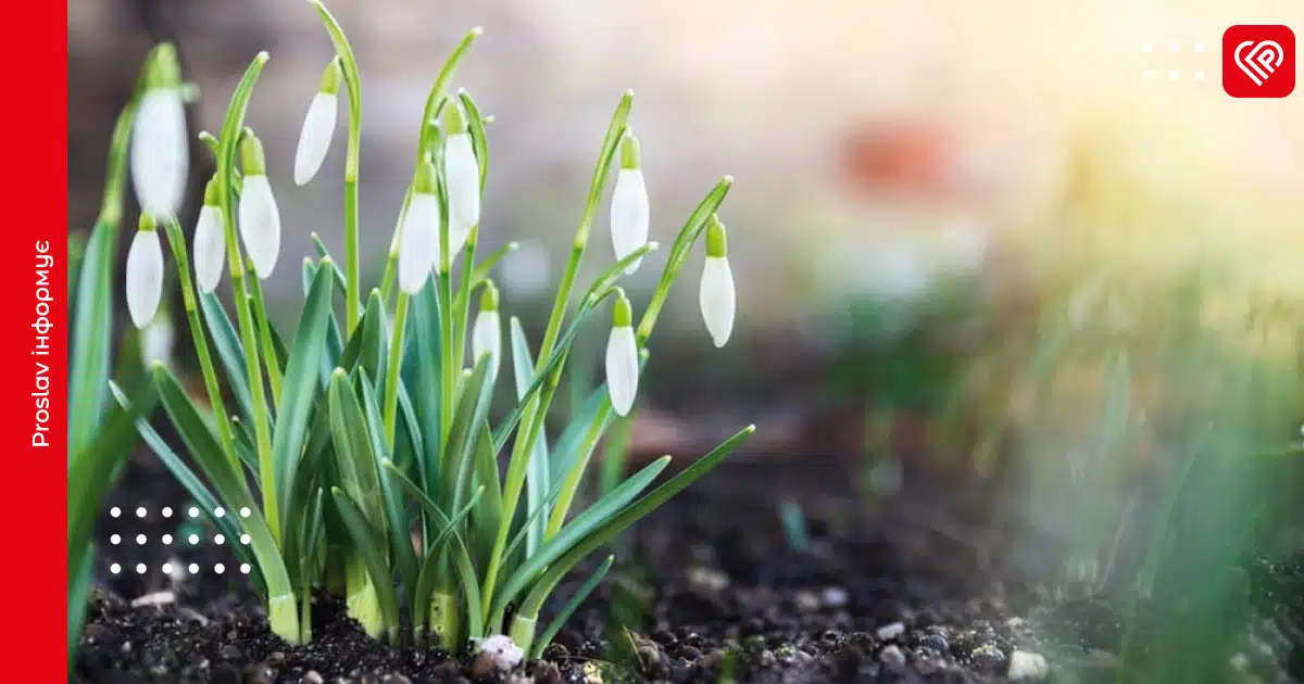 потепління прогноз погода в Україні