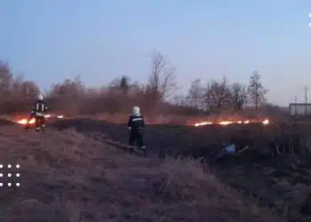 пожежі переяславщина